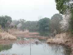 -西溪国家湿地公园