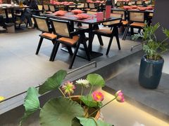 -单家老院·院子里的青岛菜(沙子口店)