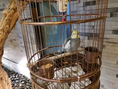 -小厨娘淮扬菜(六合欢乐港店)