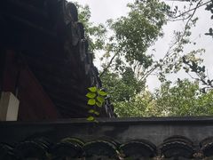 -秋霞圃