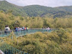 -陶祖圣境风景区