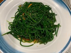 沙漠野沙葱-蒙古大营(朝阳公园店)