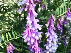 -名花谷生态庄园