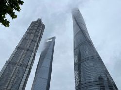 -上海金茂君悦大酒店·宴会厅