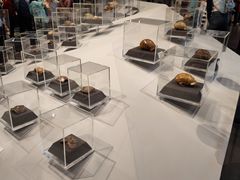 -北京周口店北京人遗址博物馆