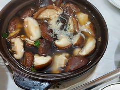 -阆中马记特色砂锅(新村路西段店)