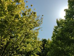 -莲花池公园