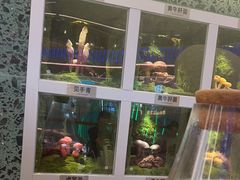 -芸山季·云南山珍菌火锅(南翔印象城MEGA店)