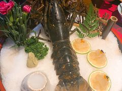 -石葵(锦业时代店)