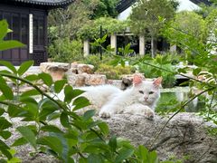-虎丘山风景名胜区