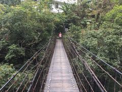-太鲁阁公园