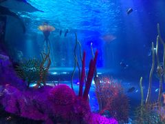 -沈阳海洋探索中心