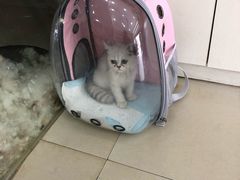 -酷狗靓猫宠物·洗护·美容·寄养(航北路店)