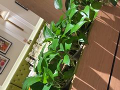 -汤城小厨•粤菜•靓汤(西直门凯德MALL店)