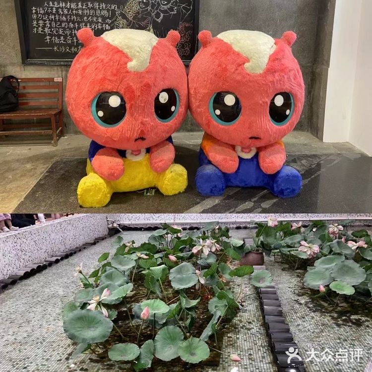 长沙我来啦[胜利][加油][加油][加油]