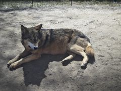 -北京野生动物园