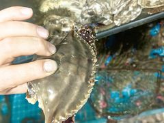 -宾朋海鲜特色美食餐厅·纯手工鲅鱼水饺(兴海路店)