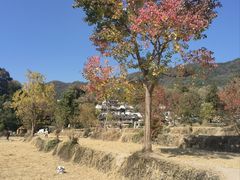 -塔川景区