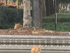 -狼山风景名胜区