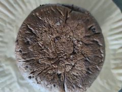 -面包新语(滨湖万达店)