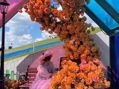 -荷兰花海
