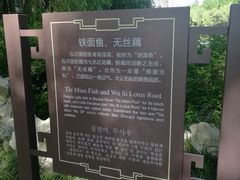 -包公祠