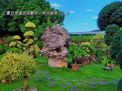-盈香心动乐园