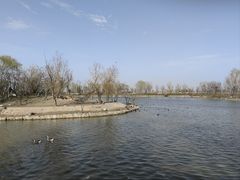 -盐城丹顶鹤湿地生态旅游区