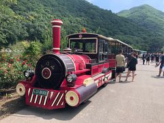 -大连天门山国家森林公园
