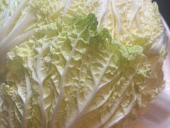 -南门四季铜锅涮肉(大屯·北苑店)