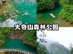 -杭州生仙里国际滑雪场