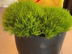 -三利音·浦之舟(滨江大道店)