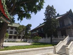-北京协和医院(东单院区)