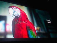 -金逸影城(中关村店)