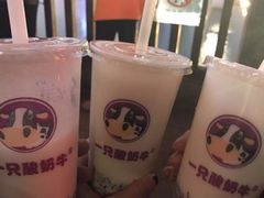 -朱氏胖子烂火锅(洪崖洞店)