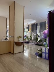 -深圳美莱医疗美容医院