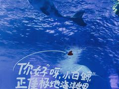 -正佳极地海洋世界