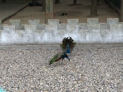 -南京金牛湖风景区