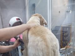 -宠福鑫康馨动物医院·骨科·眼科