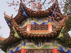 -开福禅寺