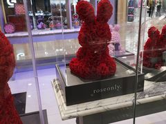 -ROSEONLY诺誓(国际广场购物中心店)