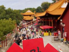 -深圳仙湖植物园