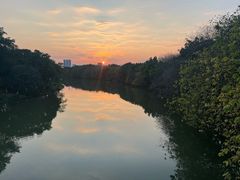-海珠湖公园
