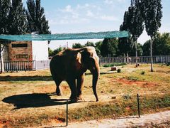 -石家庄市动物园