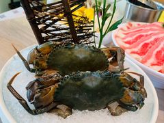 大闸蟹-阿杜打边炉(五江天街店)
