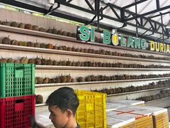 -Sibolang Durian