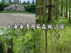 -上海海湾国家森林公园