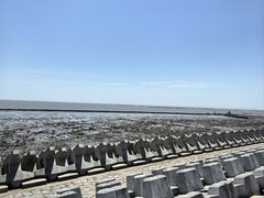 -南汇嘴观海公园