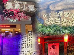 -河源客天下-温泉小镇