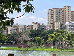 -西湖公园(鼓楼区)
